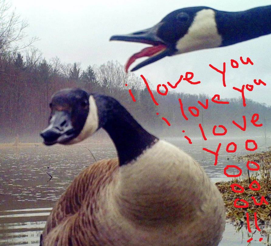 <a href="/Trail_Cams/">trailcam</a>