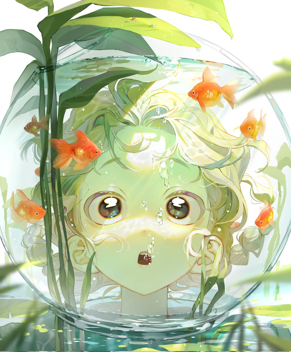 본연골 tweet media