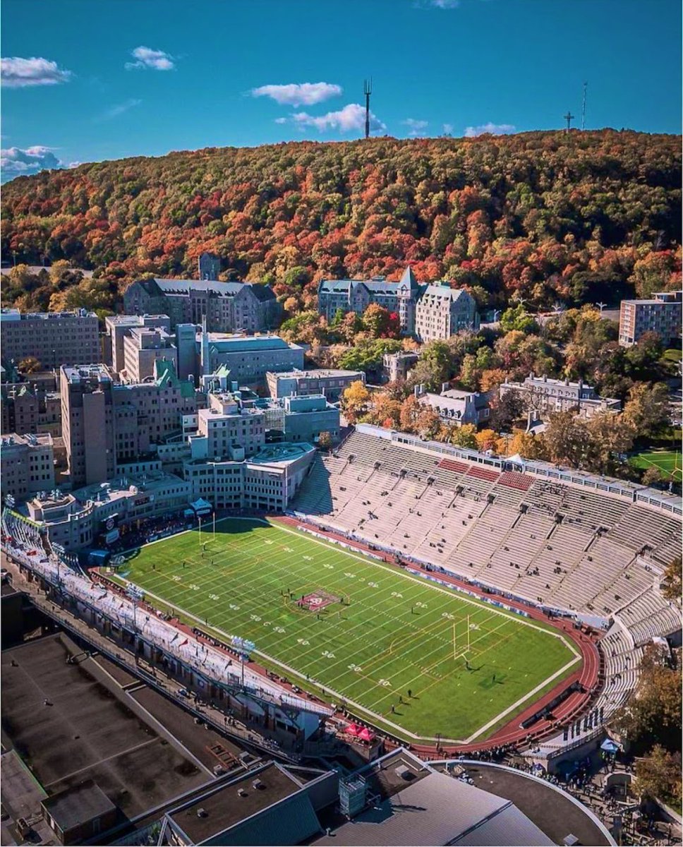 Logan Lejour tweet media