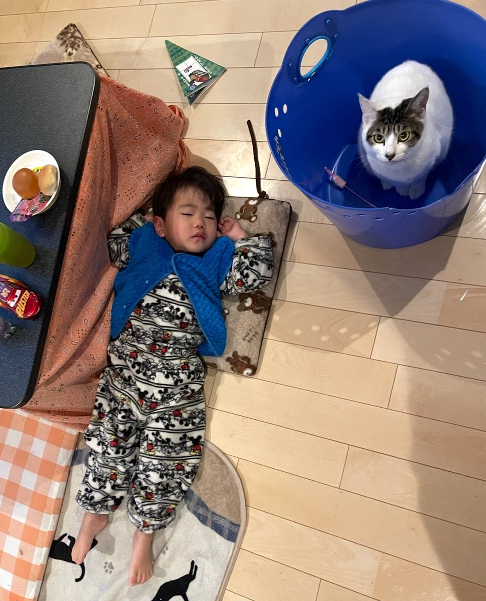 ゴンゾウR4 (@R453374510) / Posts / X