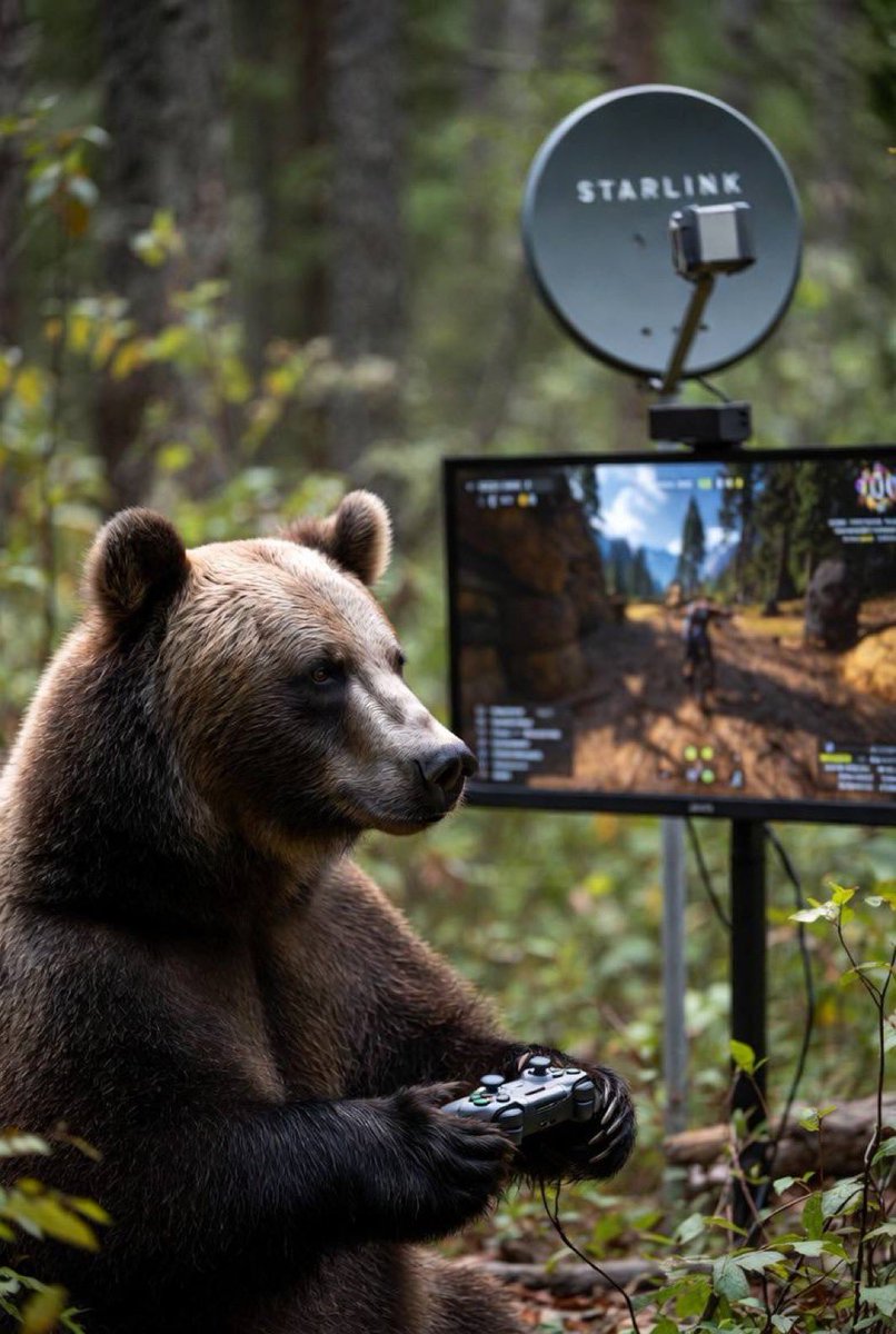 AshlieghLo28119's tweet image. Standby @BearlyLegalETH