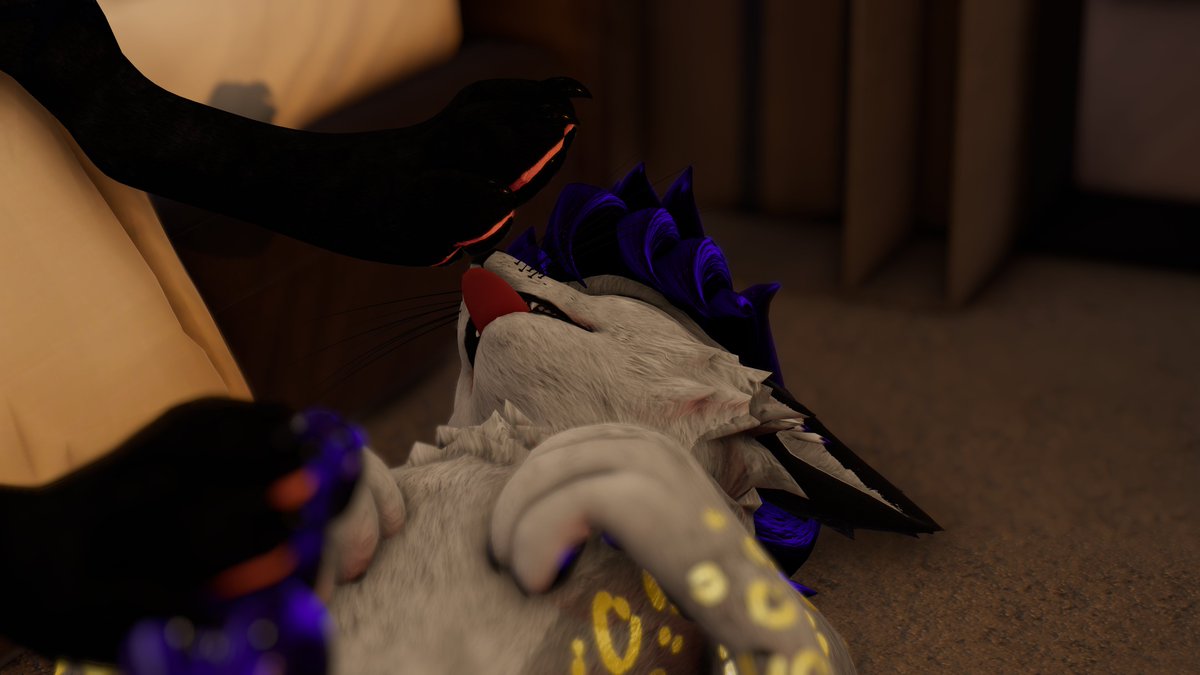 whos next... could never turn down a beautiful set of paws