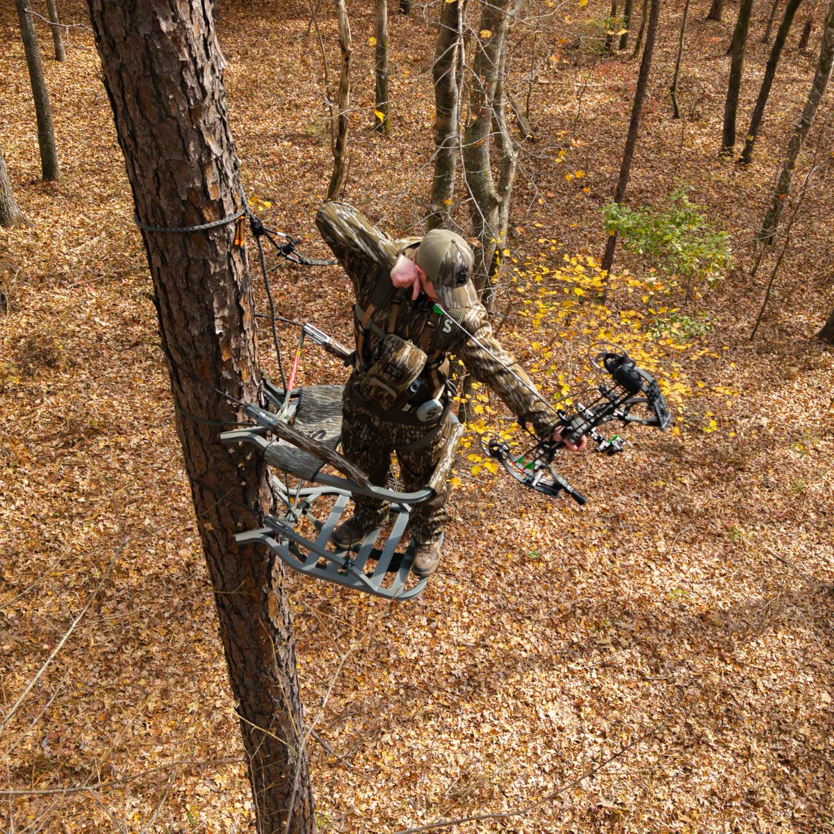 Summit Treestands tweet media