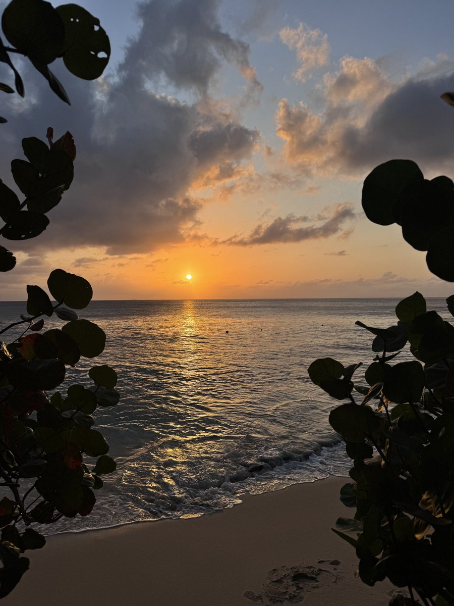 Paul Arthurs. tweet media