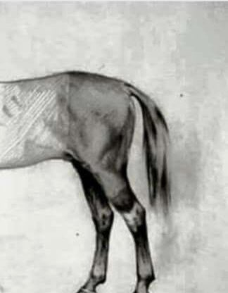 La primera semifinal // la segunda semifinal #BenidormFestSemi2