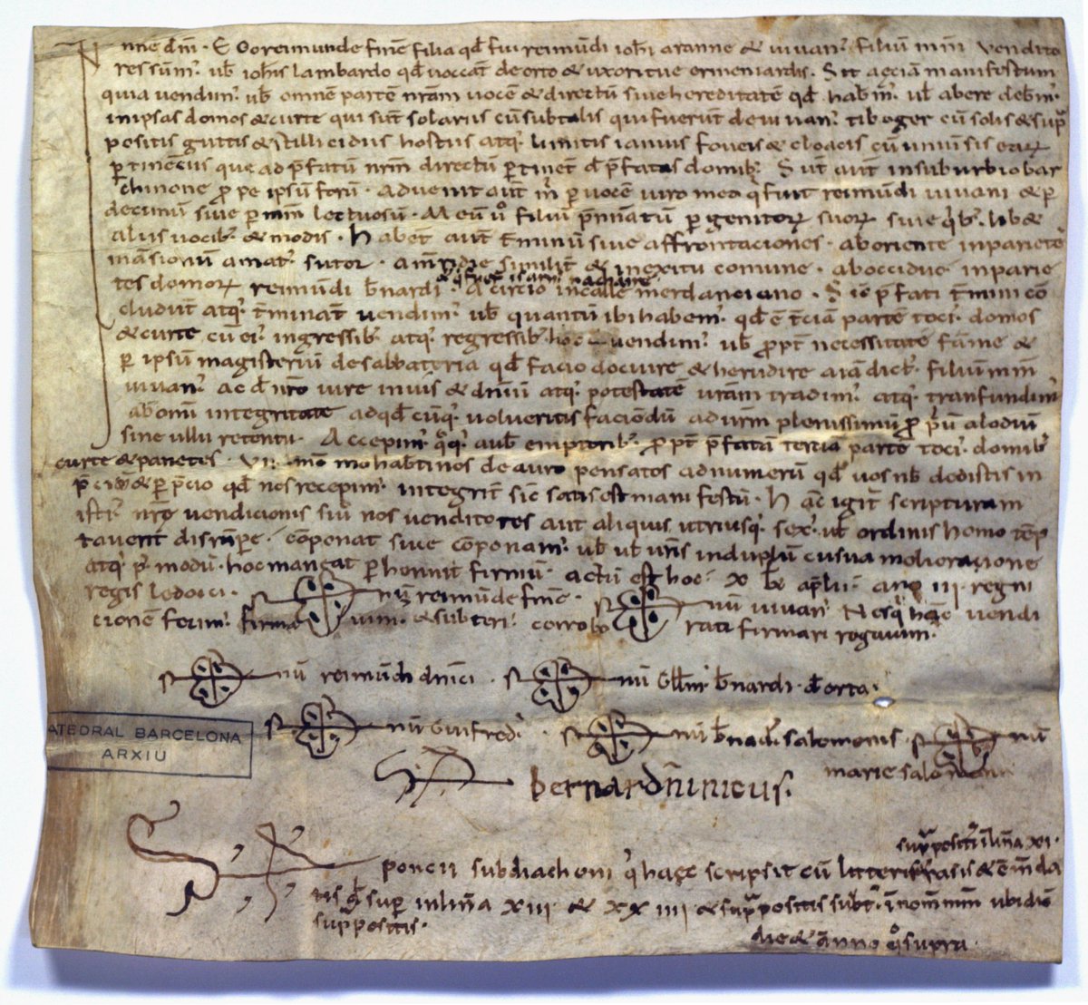 Galderich tweet media