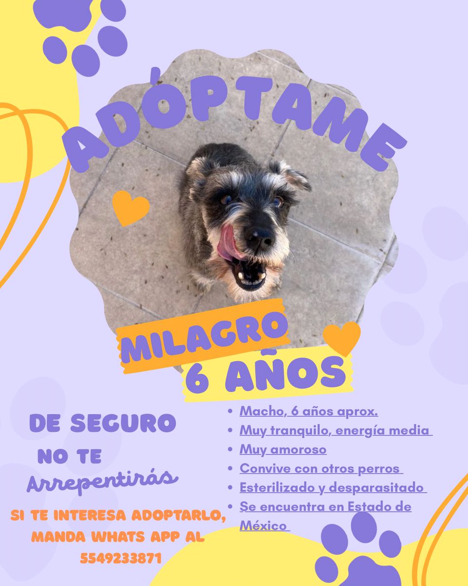 Milagros sigue en busca de una familia, por favor 🙏🏼 comparte para que encuentre a la familia ideal.
#AdoptaNoCompres