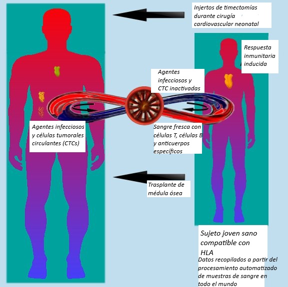Ummo-Ciencias tweet media