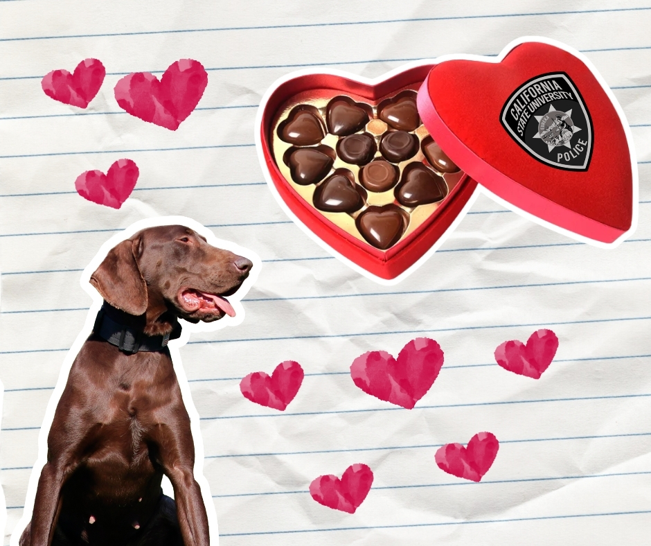 CSUF Police Department tweet media