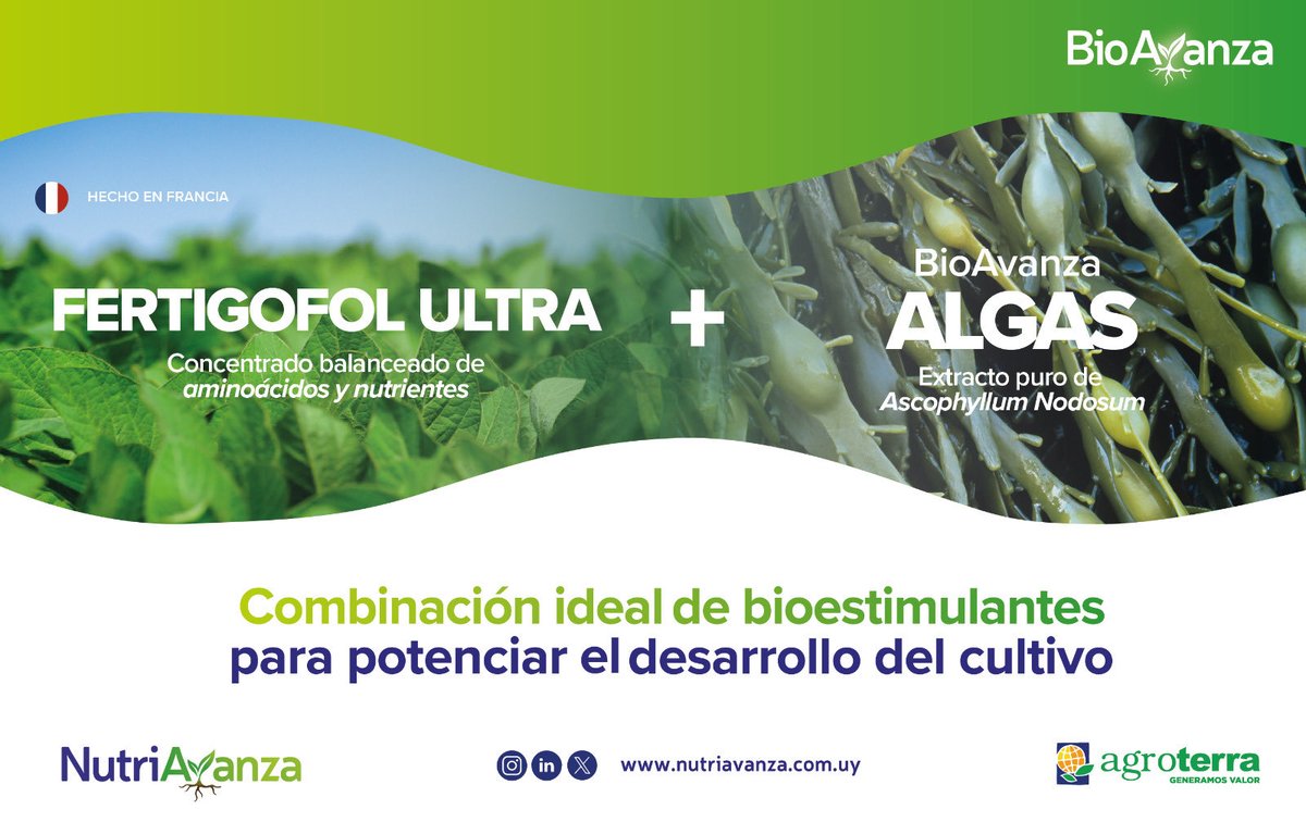 NutriAvanza tweet media