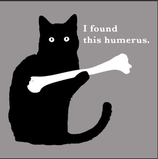 <a href="/Spacedonkey1/">Space Donkey ©️ 🦖</a>