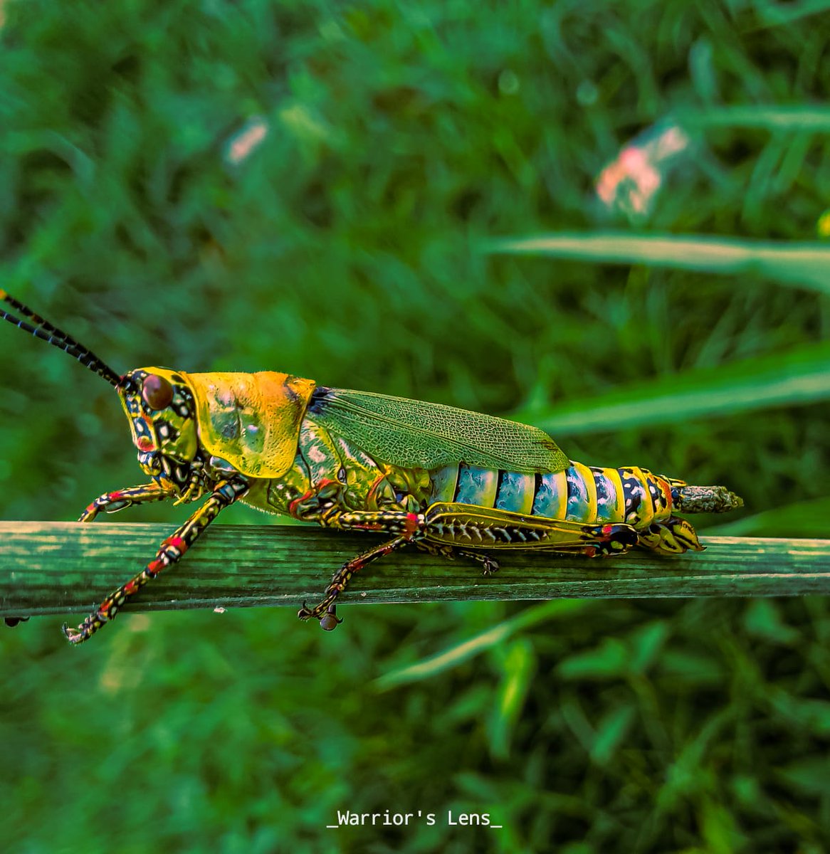 Obe Oluwagbemiga tweet media