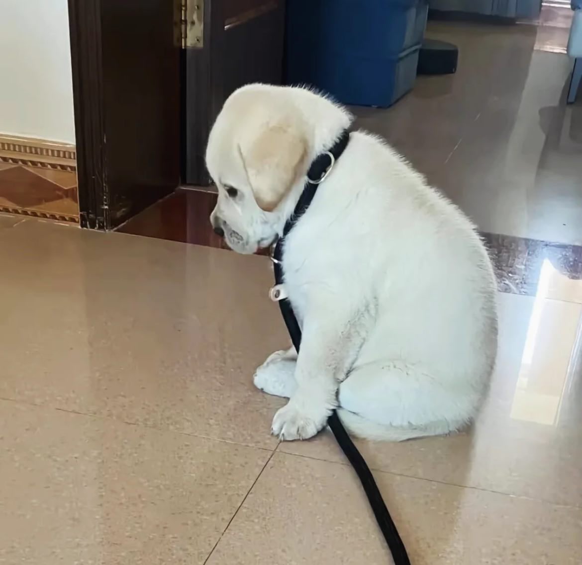 krc (@sadkrocco) on Twitter photo 