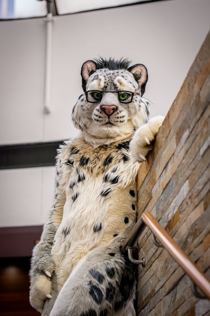 Fateclaw tweet media