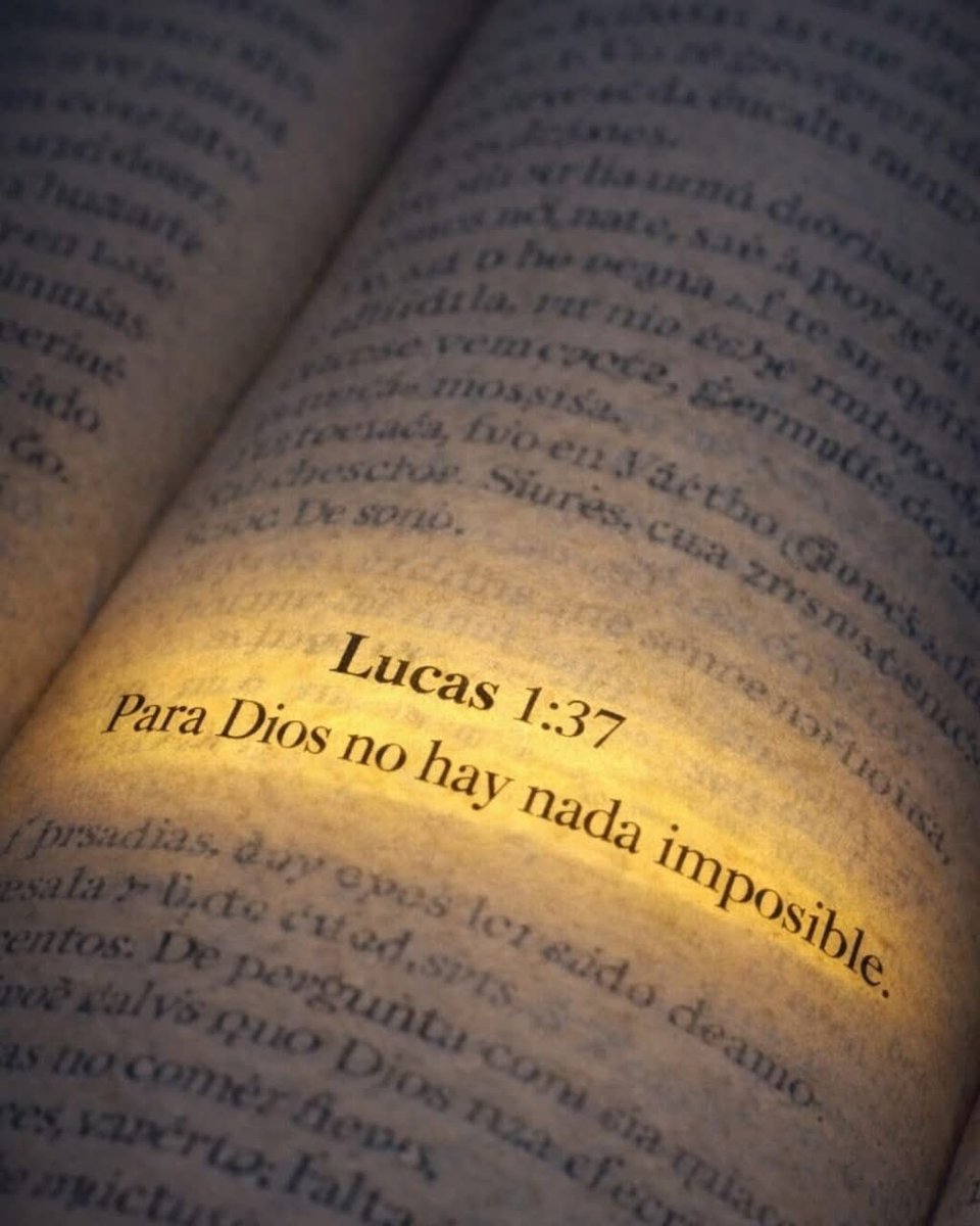 Vive con Propósito. (@propositoyvida) on Twitter photo 