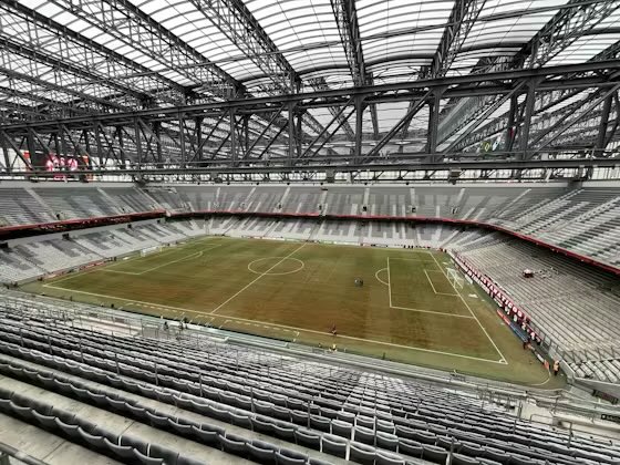 Rogerio Scarione tweet media