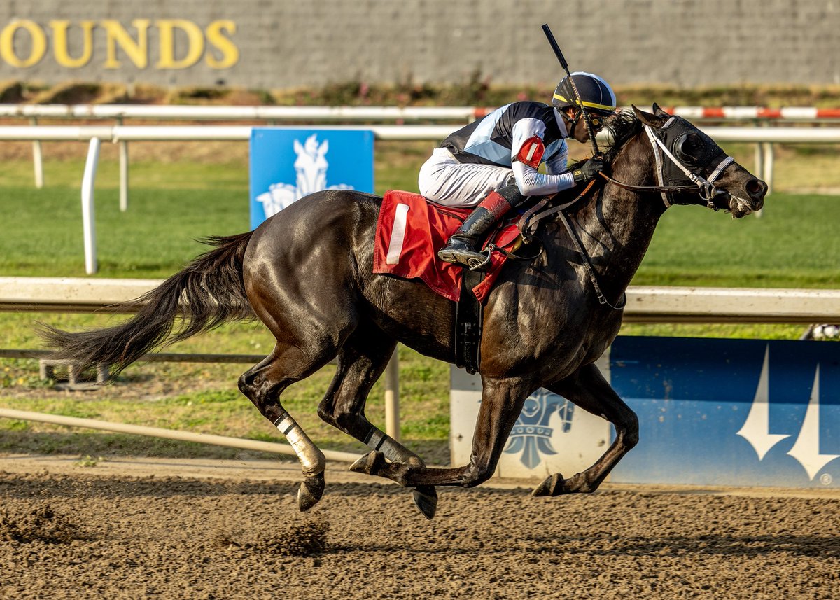 Eclipse Thoroughbred Partners tweet media