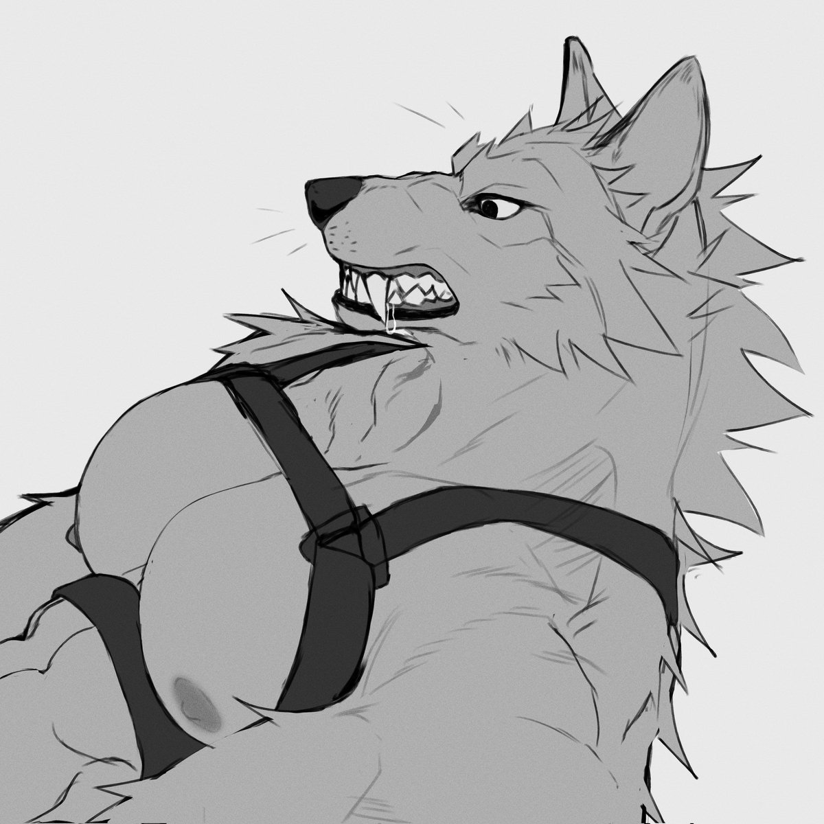 Daemon 🐆🐾 tweet media