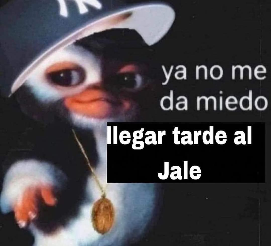 Salvador Iglesias Jr (@javisness) on Twitter photo 