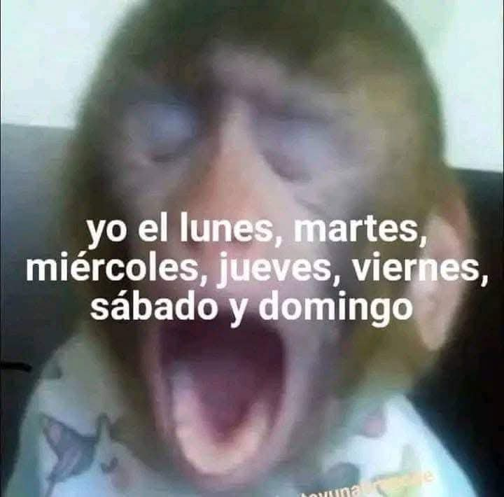 Salvador Iglesias Jr (@javisness) on Twitter photo 