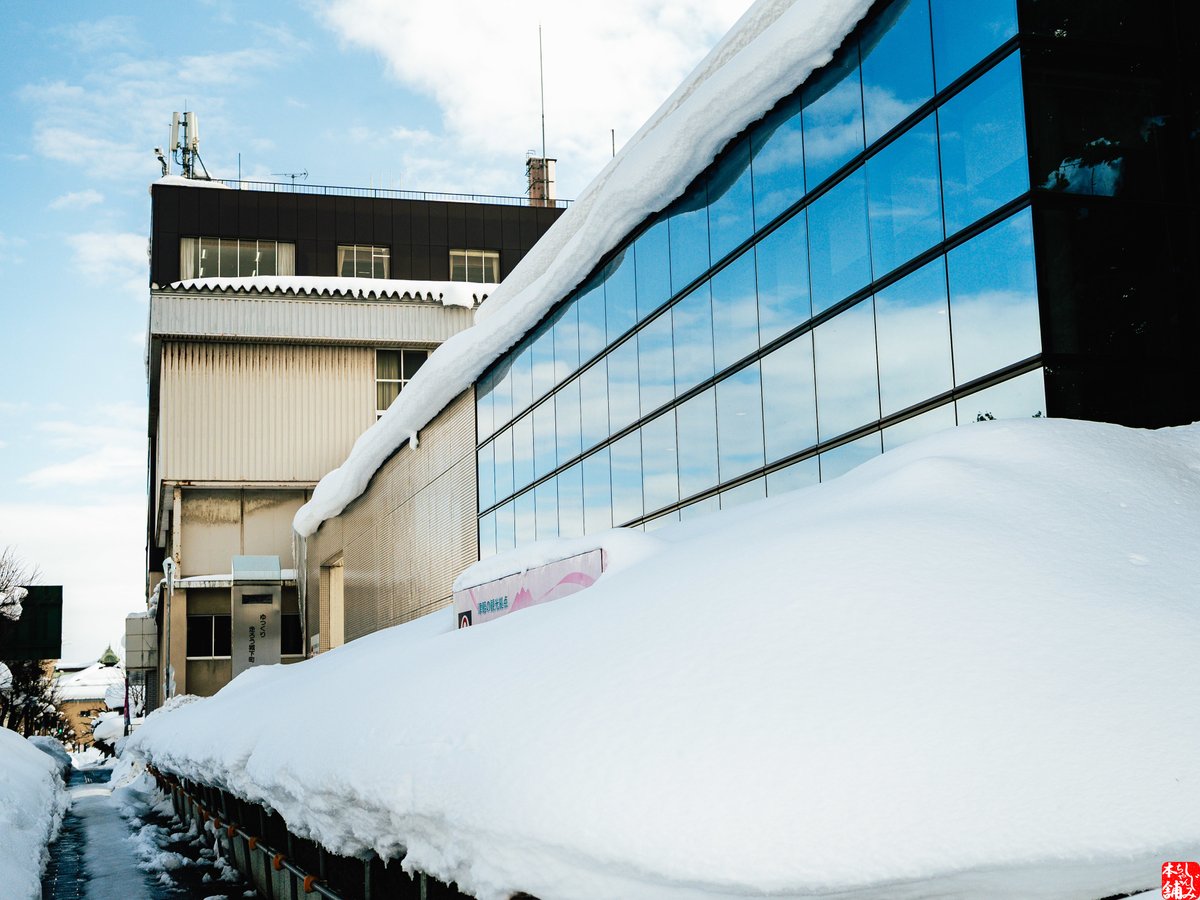 2月13日、金曜日。おはようございます、しじみちゃんほん ポっ