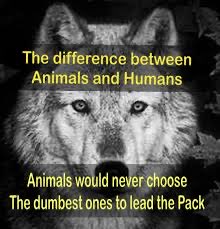 <a href="/MarcMillerVM/">Marc Miller ᐅᑭᒫᐃᐧᐅᓃᐸᐄᐧᐤᐃᔨᐣ Mikotsikaa</a> This is embarrassing.  Another 🍁MAGA Albertan rep moaning, whining, “opposing” nothing. Useless. I can’t believe we pay them for this. Ridiculous. 
Seriously #LETHBRIDGE come on…do better!