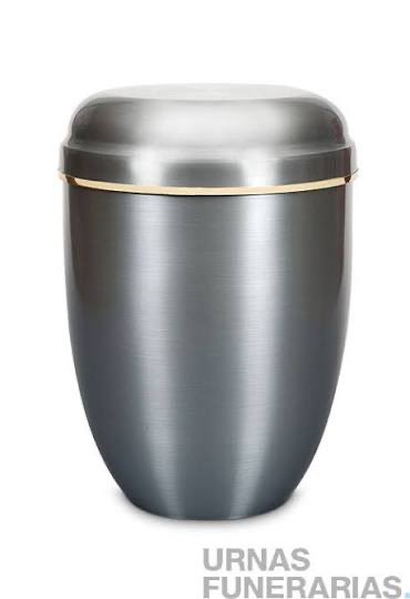 El único que va a ir al campo