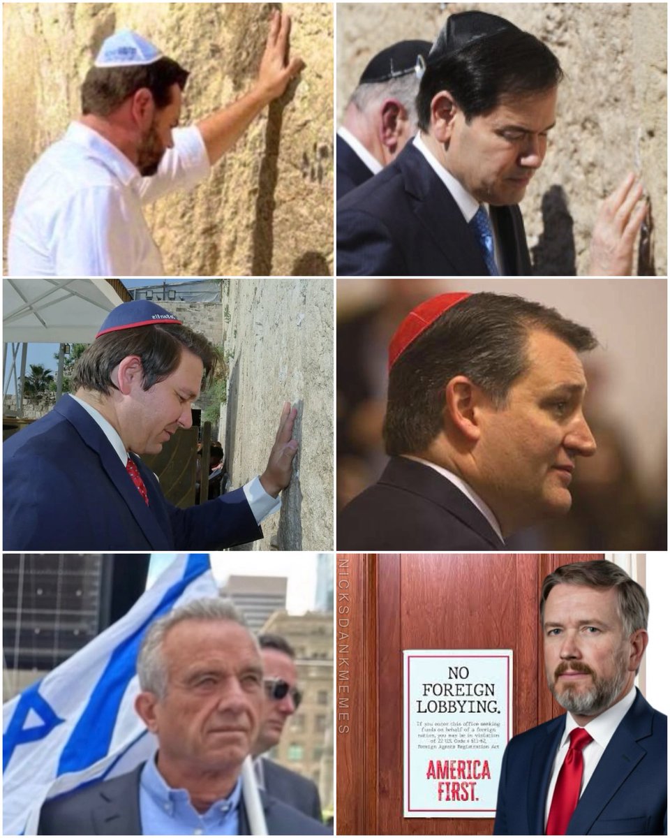 Choose your fighter.