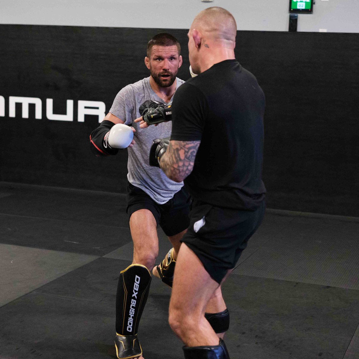 The Diamond tweet media