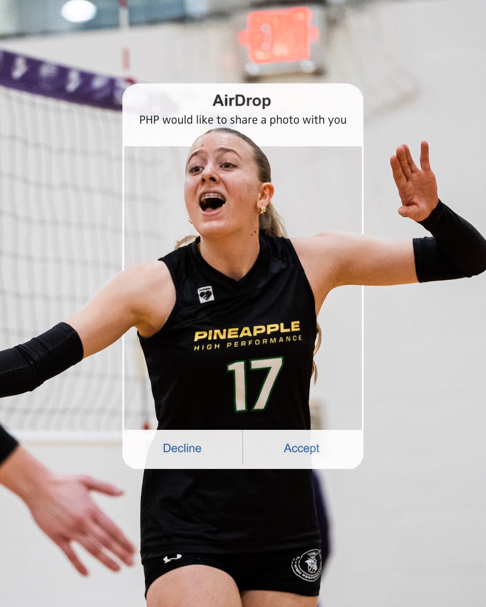 Pineapple High Performance tweet media