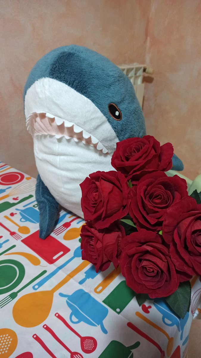 Human, thanks for the red roses… but I clearly asked for chocolates!
Happy Valentine’s Day, everyone!

#IKEAのサメ #ikeashark #stuffedtoy #blåhaj #brioches #italy #peluches #stuffedanimals #blahaj #homesweethome #lasagna #valentineday #roses #chocolate #love