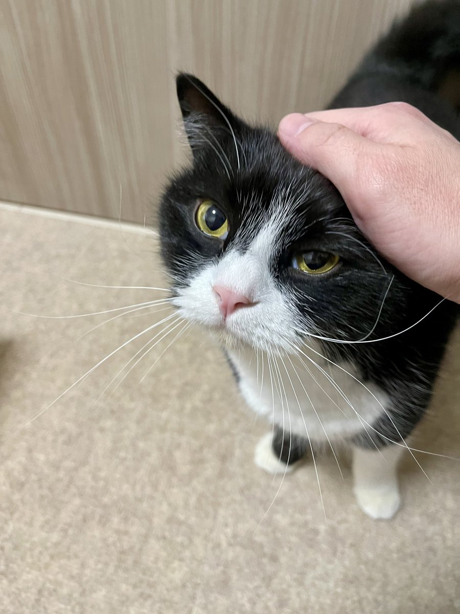 たろう (@taro20216) / Posts / X