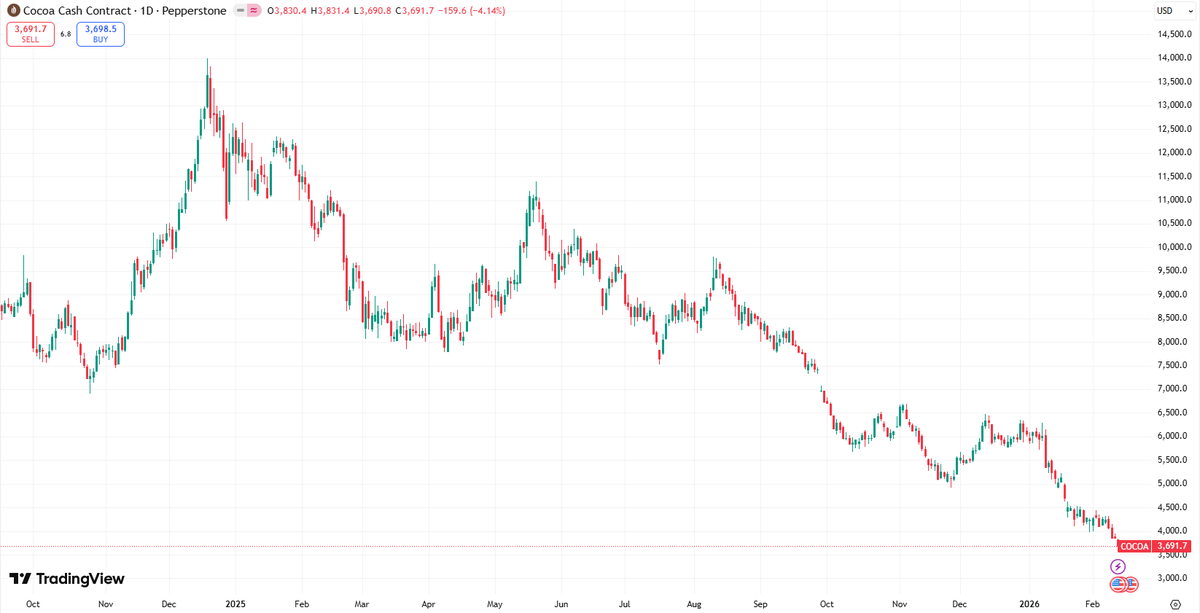 Rafaela Romano tweet media