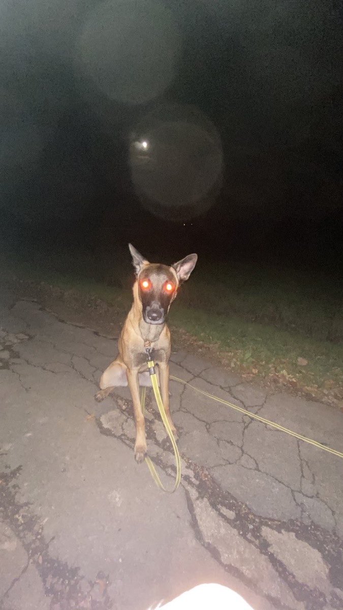 Der will nur spielen (und deine Seele)