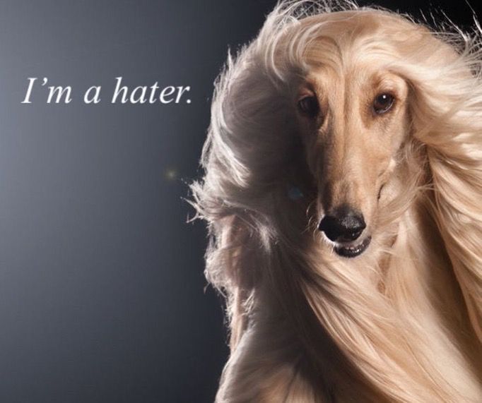 Danae.🍓•. tweet media