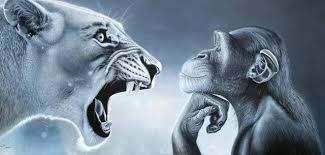 Club Atlético Jorge tweet media