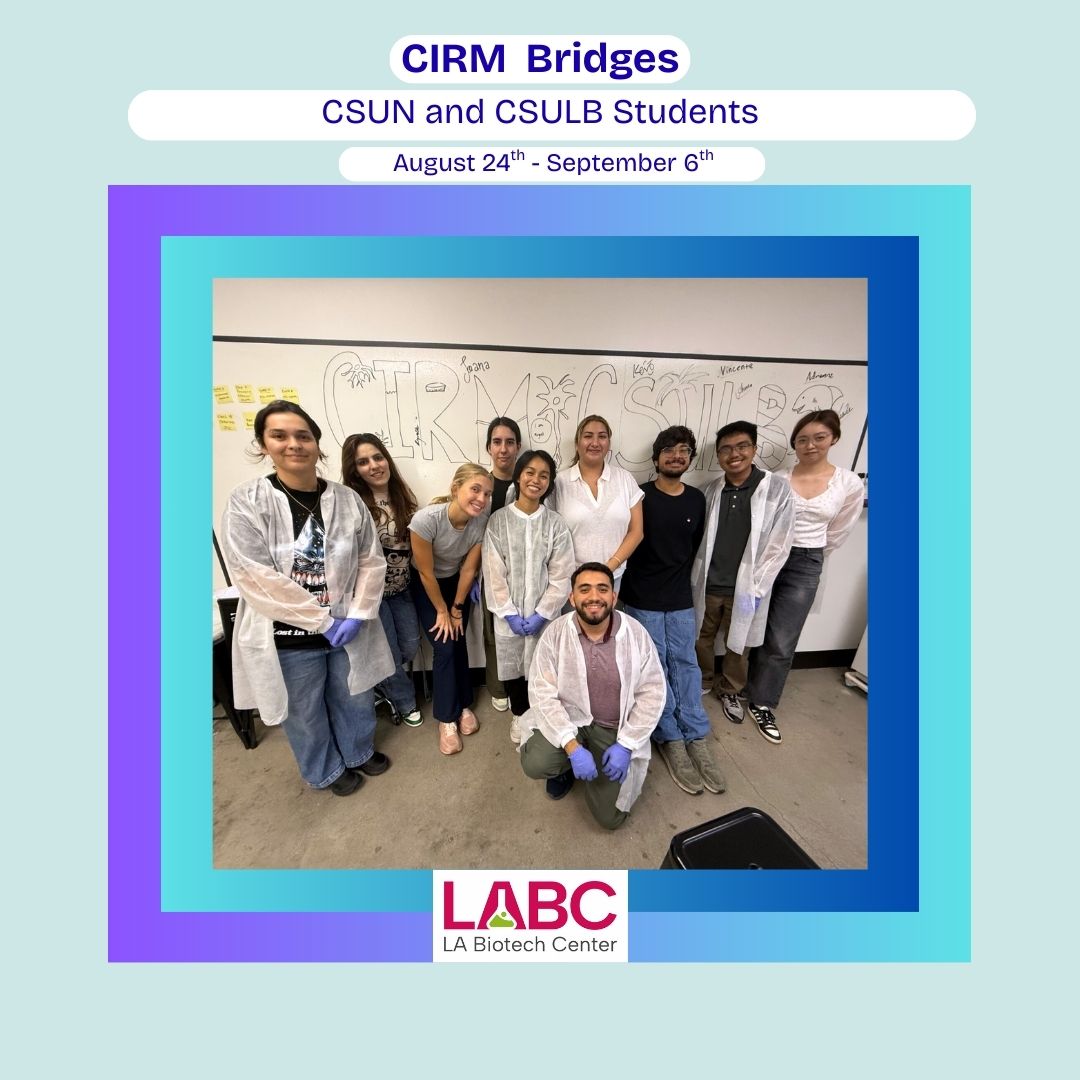 LABiotechCenter's tweet photo. We welcomed 20 students from CSULB &amp; CSUN for a 7-day Advanced Stem Cell Techniques training 🧫🔬

Funded by @CIRMnews, they’re now starting year-long internships at UCLA, USC &amp; UCI!

#LABiotechCenter #STEM #Biotech #CIRM #FutureScientists #Biology #Sciencecamp https://t.co/PxXtHvHquN