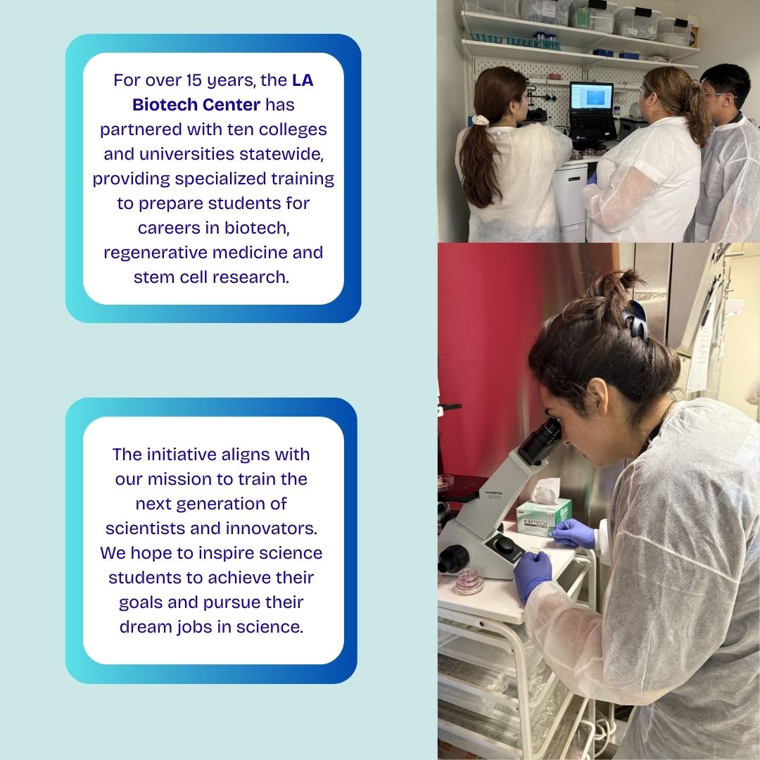 LABiotechCenter's tweet photo. We welcomed 20 students from CSULB &amp; CSUN for a 7-day Advanced Stem Cell Techniques training 🧫🔬

Funded by @CIRMnews, they’re now starting year-long internships at UCLA, USC &amp; UCI!

#LABiotechCenter #STEM #Biotech #CIRM #FutureScientists #Biology #Sciencecamp https://t.co/PxXtHvHquN