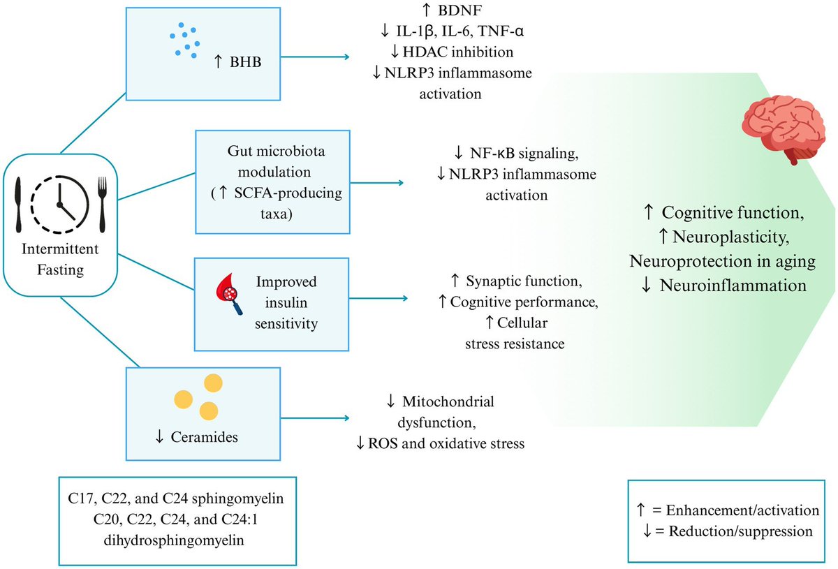 Agingdoc🩺Dr David Barzilai🔔MD PhD MS MBA DipABLM tweet media
