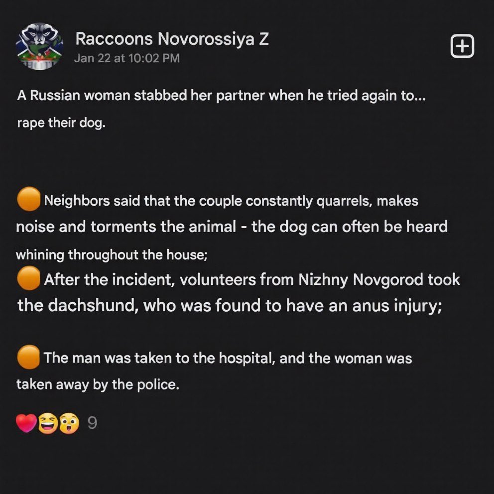 NAFORaccoon's tweet image. I don’t even know what to say.