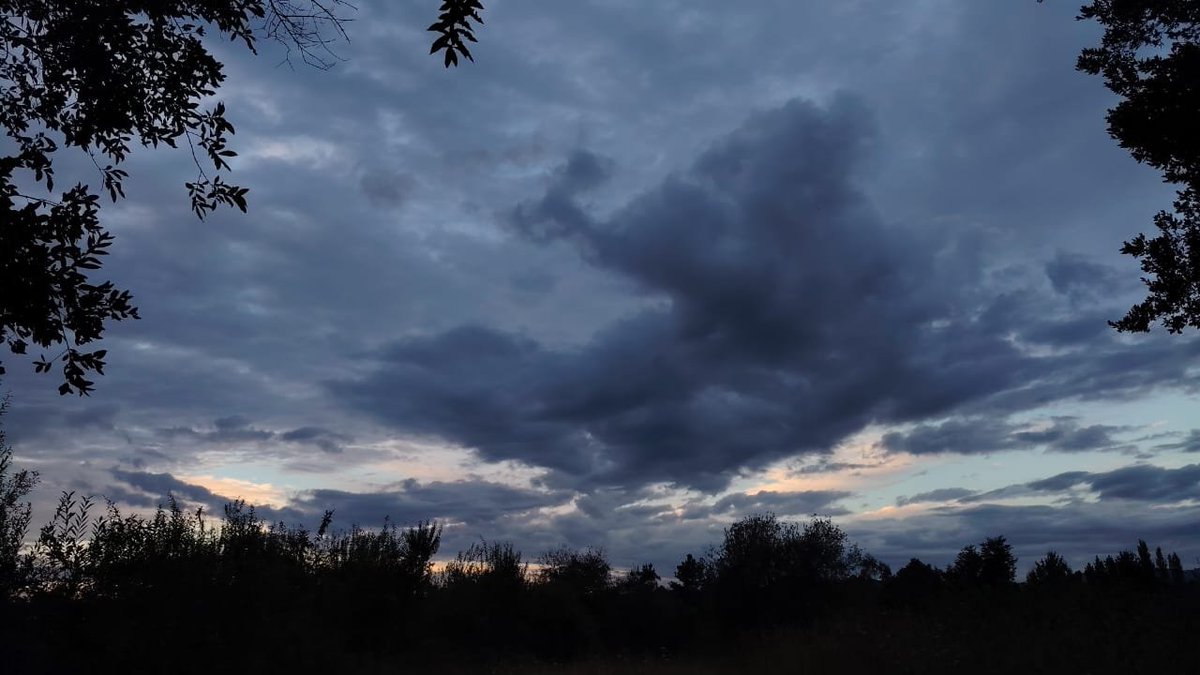 SebastianCaimi1's tweet photo. Desde el sur de chile tomo estas ftos (estamos en verano jeje) se te quiere @Rubiu5  Gracias por ser una absoluta leyenda #Odayakorureshii #RubiusDay https://t.co/TkrLTaOZWb