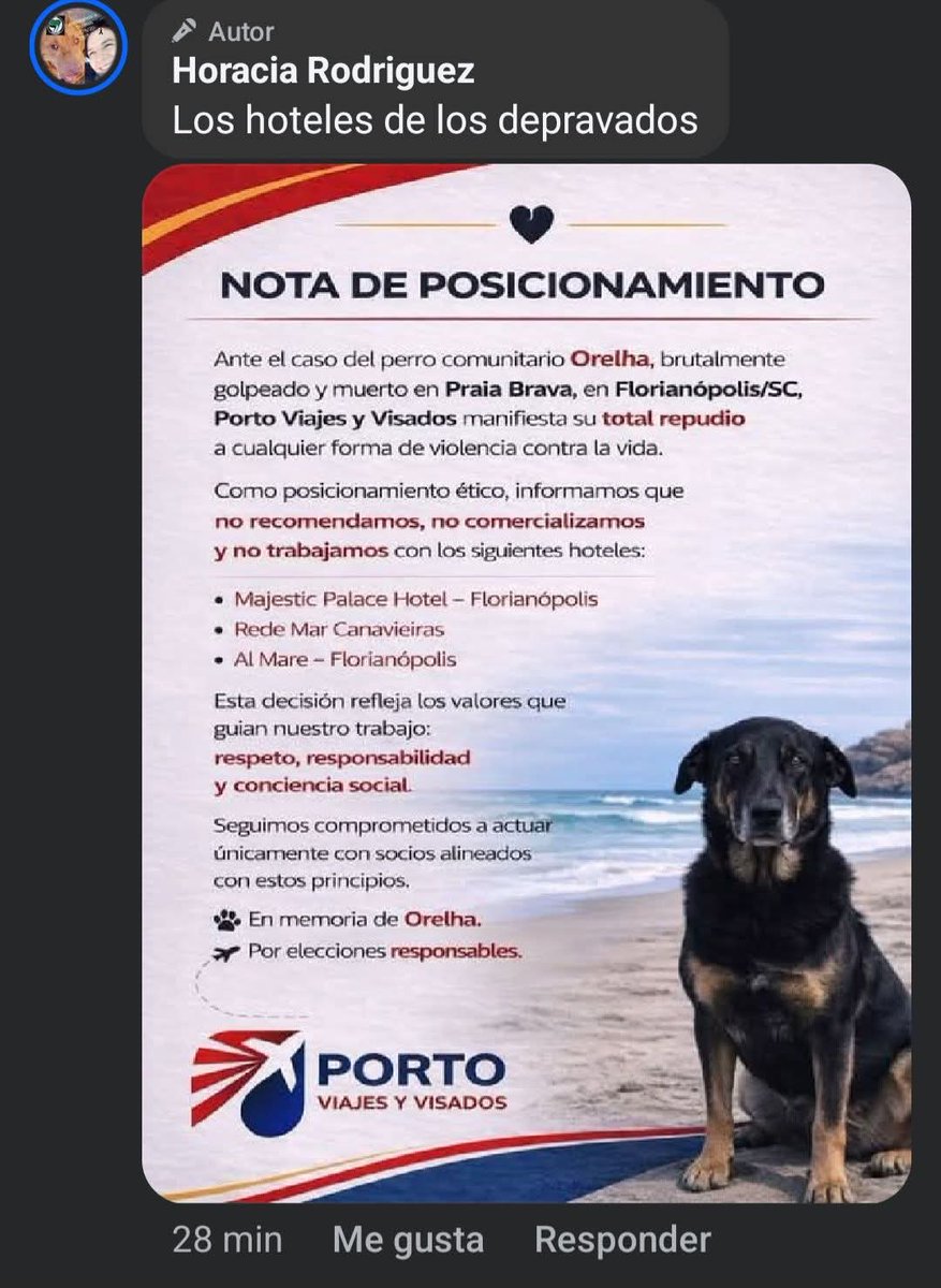 RinconDeSam's tweet photo. #JusticiaParaOrelha 
Porfavor leer .
#MajeticPalaceHotel en florianopolis https://t.co/k9SgBQ0WYx