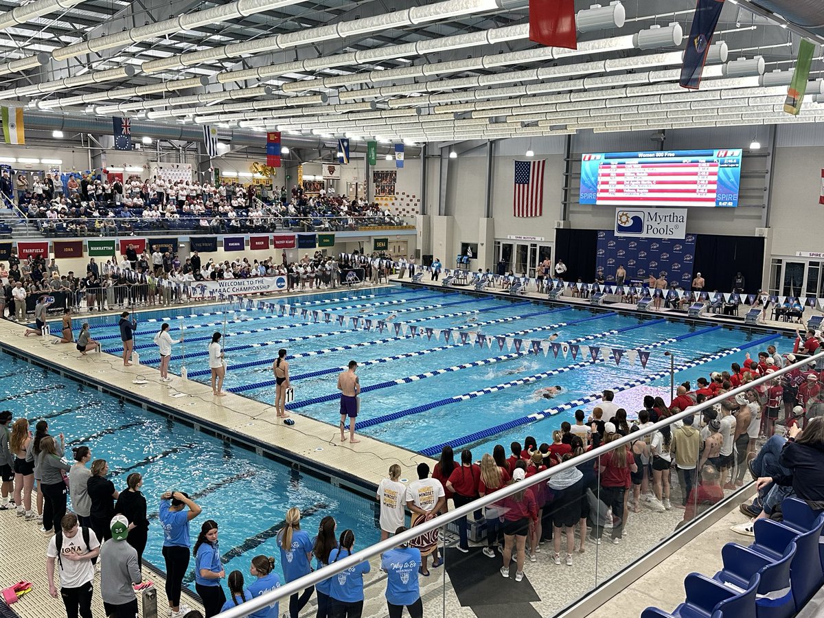 Travis Tellitocci tweet media