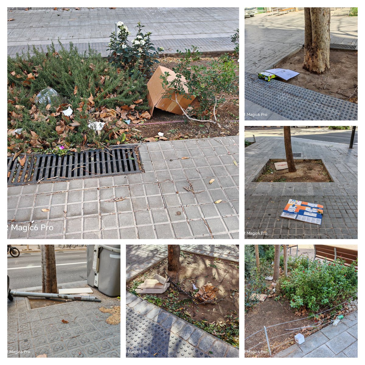 Hoy en la Superilla de Rocafort, entre Valencia y Diputación. Difícil acumular más suciedad en tan poco espacio. La dejadez es cada vez más evidente. Dónde está el Distrito? <a href="/pp_bcn/">PP Barcelona</a> <a href="/danielsirera/">Dani Sirera</a> <a href="/SoniaDeveRi/">Sonia Devesa</a>