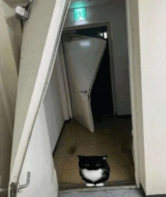 •|| Mi carrera es tan interesante que mañana tengo un examen de…

 P U E R T A S