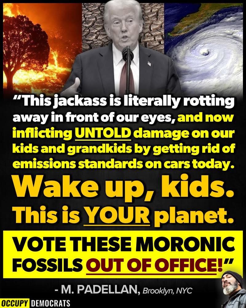 Occupy Democrats tweet media