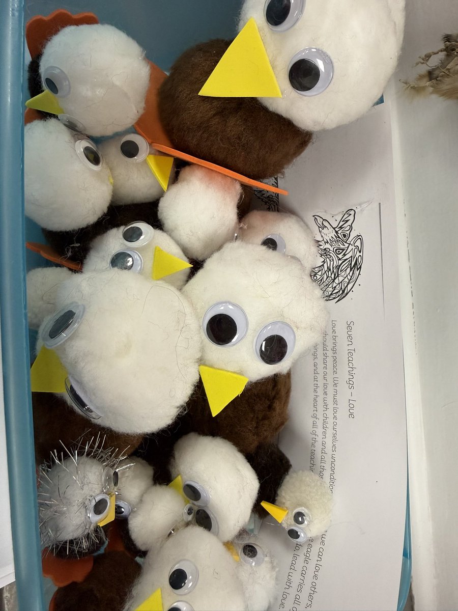 JuniperSpiritBears (She/Her) tweet media