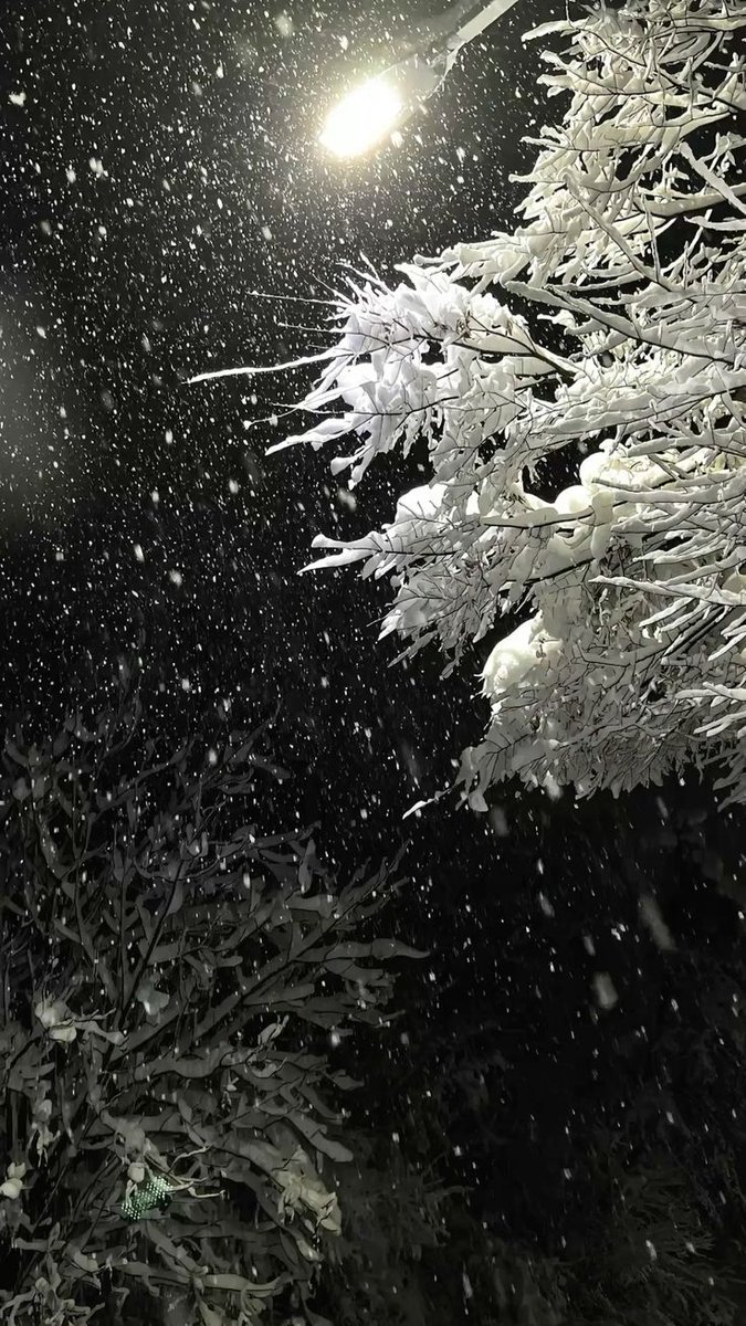 رؤیای ناتمام tweet media