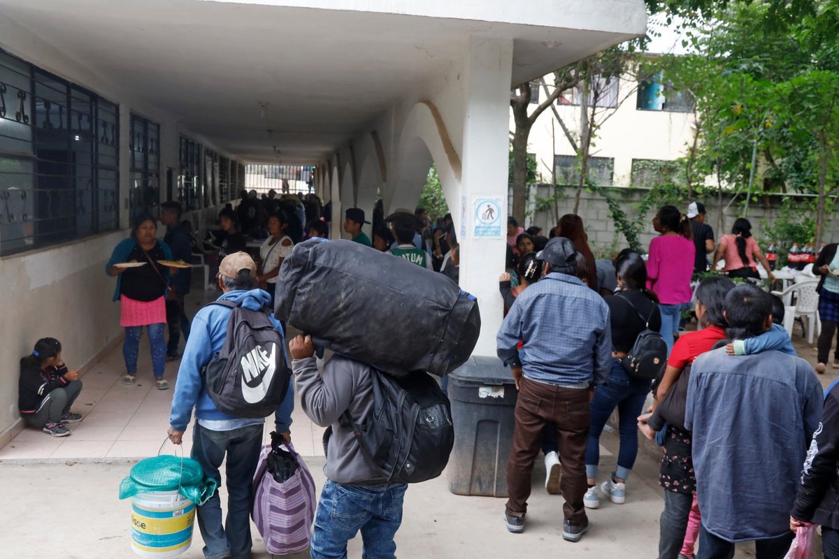 Tlachinollan's tweet photo. 📌Organizaciones nacionales e internacionales respaldan la labor de Tlachinollan frente a la población jornalera de la Montaña de Guerrero | Advertimos los intentos de desviar la atención de los problemas estructurales que enfrenta la población jornalera
👉🏾https://t.co/9lPlLJFZn9 https://t.co/0LUlHbkfX9