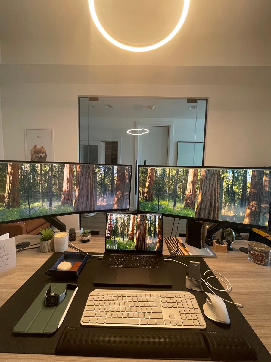 EliteOptionsTrader tweet media